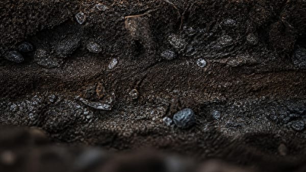 Cadmium : peut-on réduire la présence de ce métal toxique dans nos sols ?