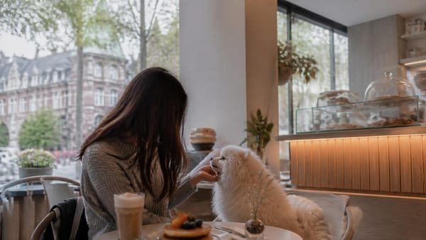 Café, fluffy pancakes et toutou bar : Kumi baigne Rouen dans la culture coffee shop de Corée du Sud